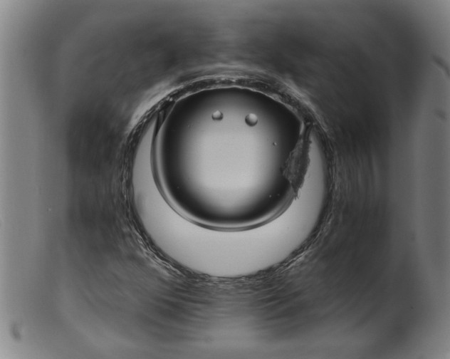 X0000099421352200805231619