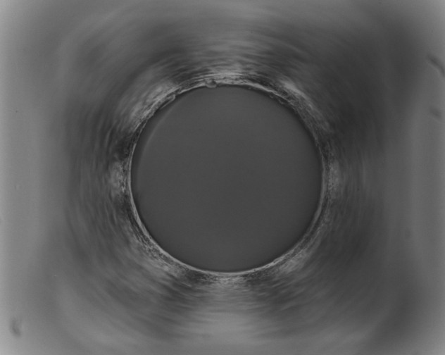 X0000099421353200805231619