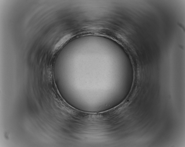 X0000099421354200805231619