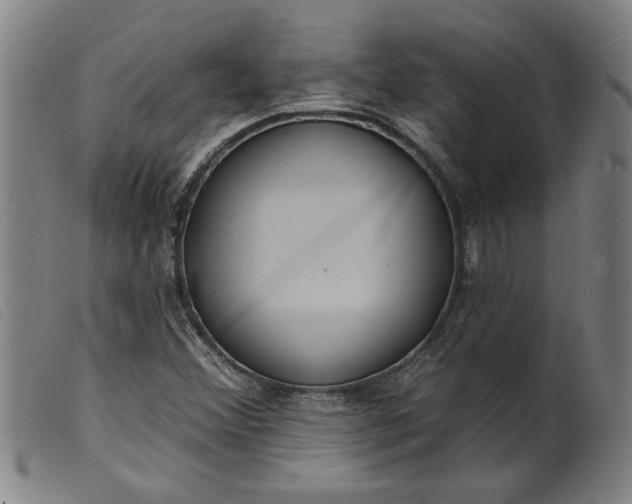 X0000099421356200805231619