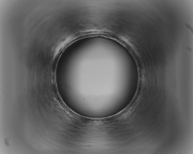 X0000099421357200805231619