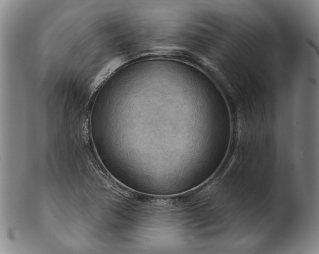 X0000099421362200805231619