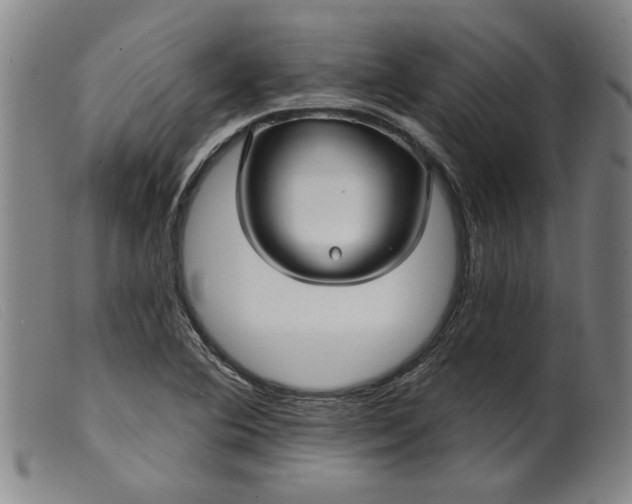 X0000099421364200805231619