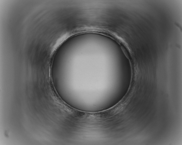 X0000099421365200805231619