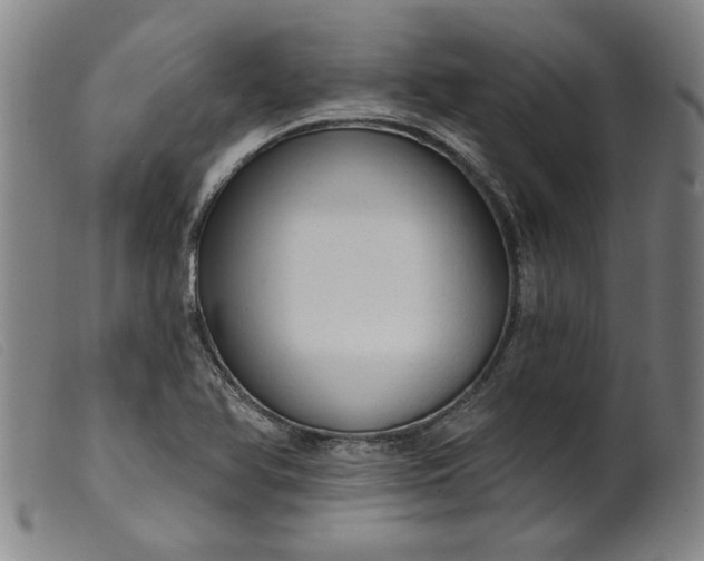X0000099421366200805231619