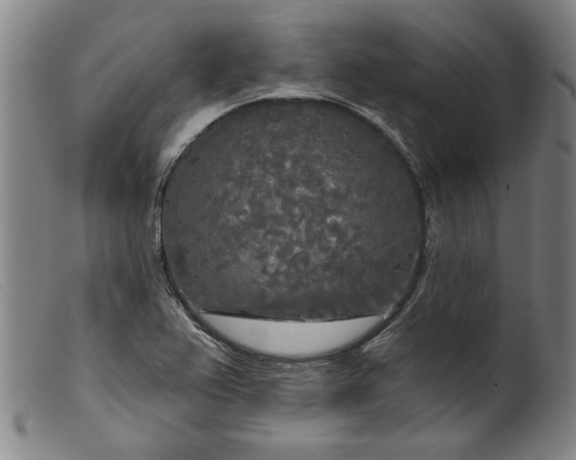 X0000099421367200805231619