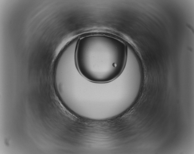 X0000099421368200805231619