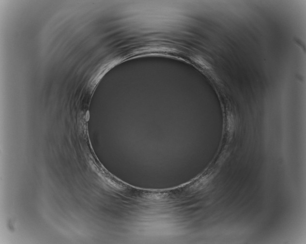 X0000099421369200805231619