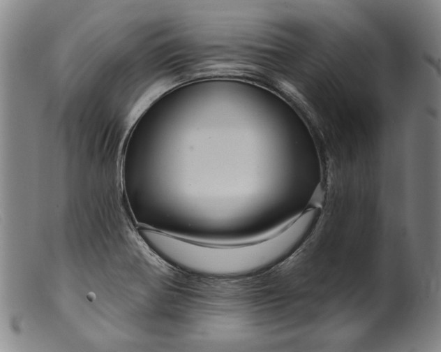 X0000099421370200805231619