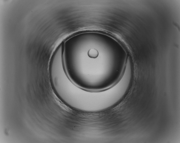 X0000099421372200805231619