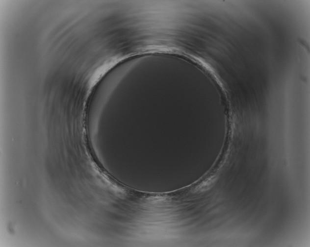 X0000099421373200805231619