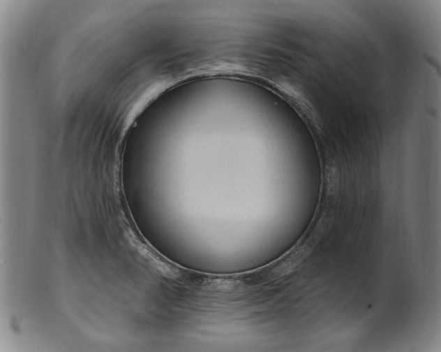 X0000099421374200805231619