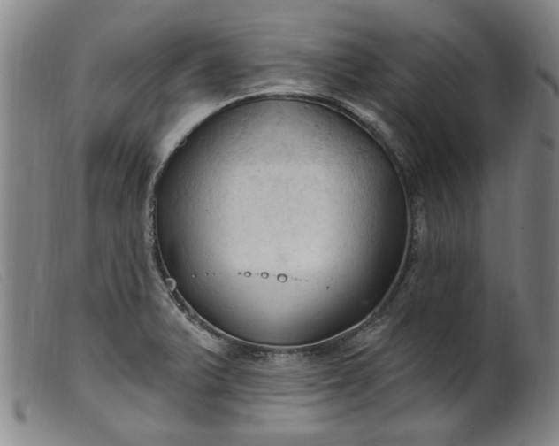 X0000099421375200805231619