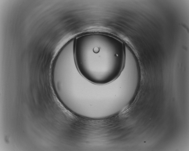 X0000099421376200805231619