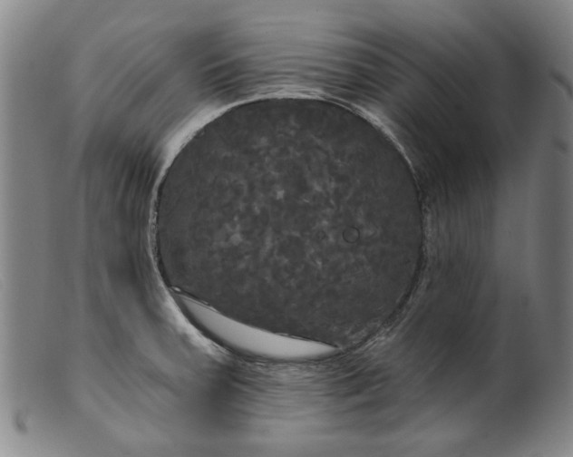 X0000099421379200805231618