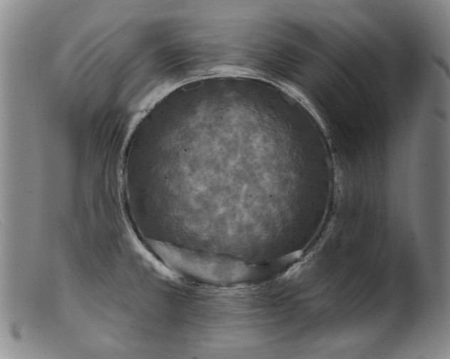 X0000099421381200805231618