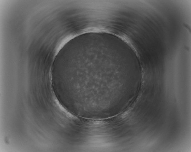 X0000099421382200805231618