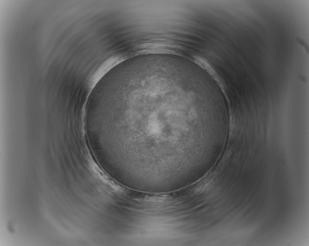 X0000099421386200805231618
