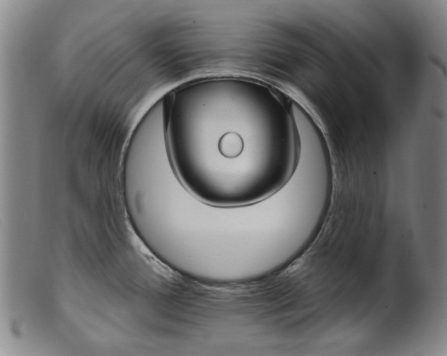 X0000099421388200805231618