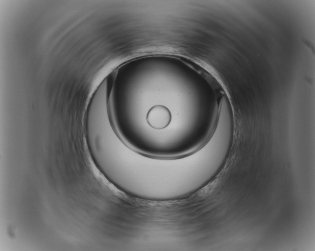 X0000099421389200805231618
