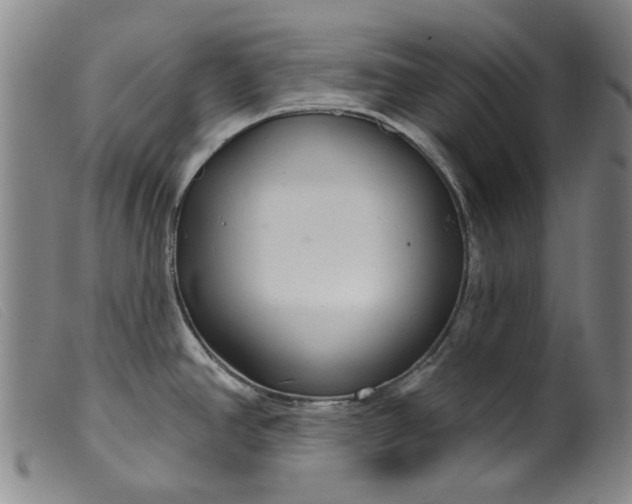 X0000099421390200805231618