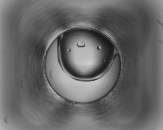 X0000099421392200805231618