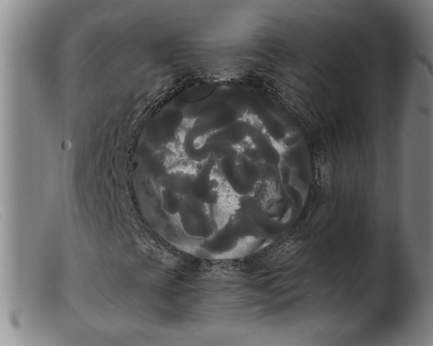 X0000099421393200805231618