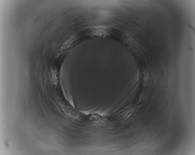 X0000099421394200805231618