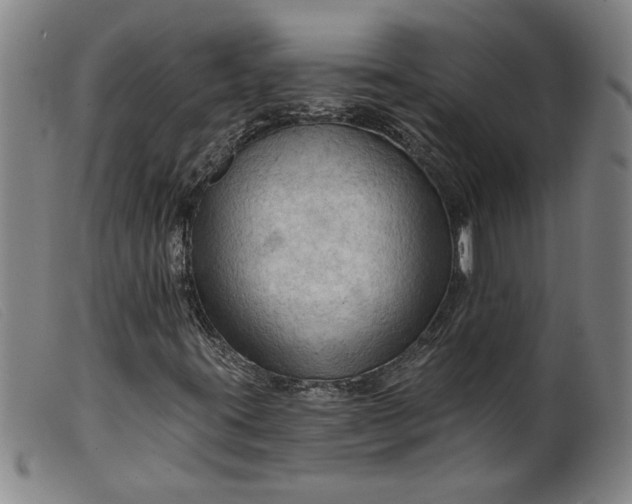 X0000099421395200805231618