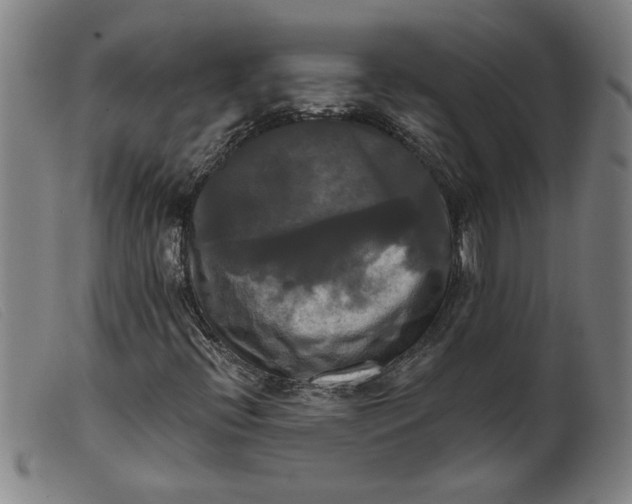 X0000099421396200805231618