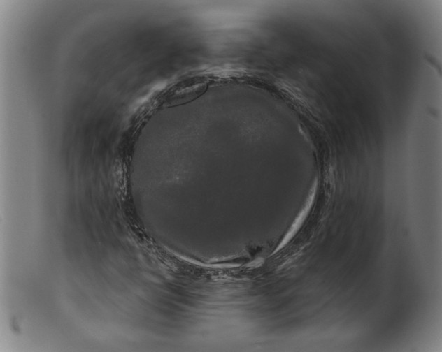 X0000099421398200805231618