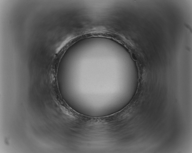 X0000099421400200805231618