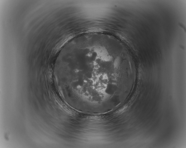X0000099421401200805231618