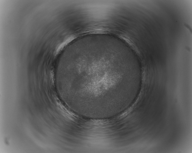 X0000099421402200805231618