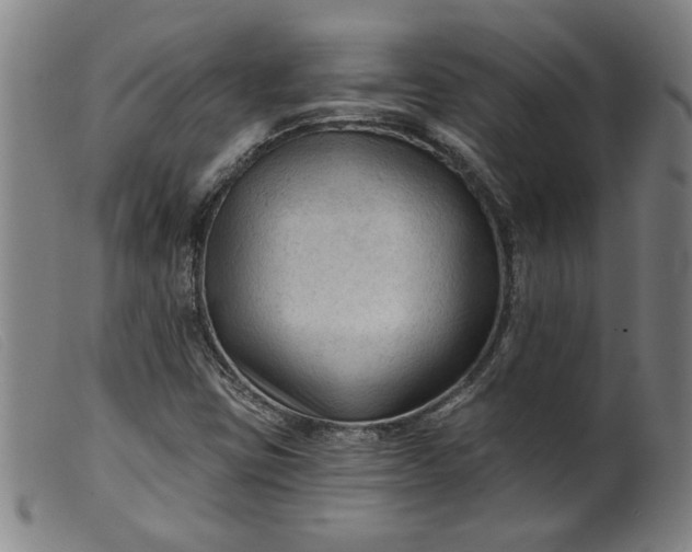 X0000099421403200805231618