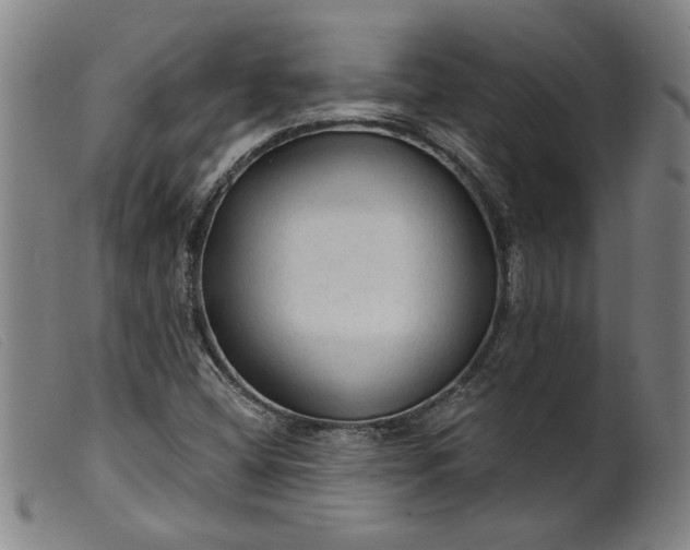 X0000099421404200805231618