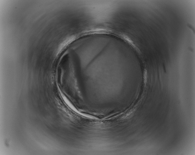 X0000099421405200805231618