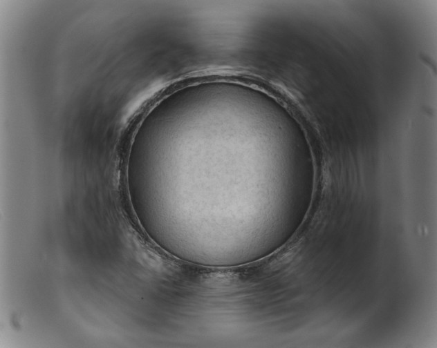 X0000099421406200805231618