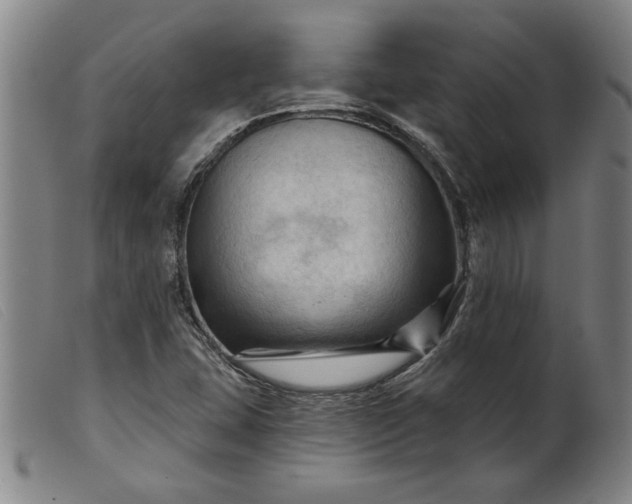 X0000099421407200805231618
