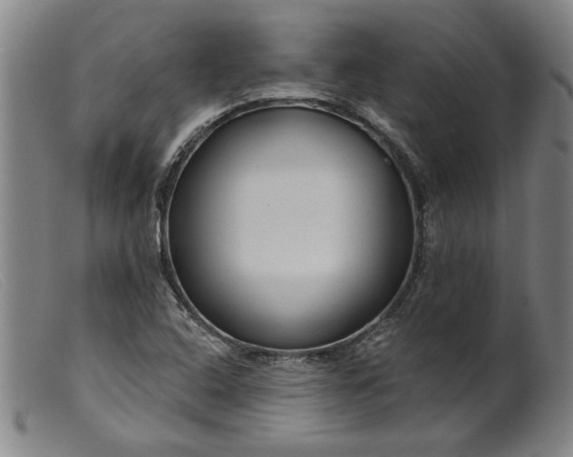 X0000099421408200805231618