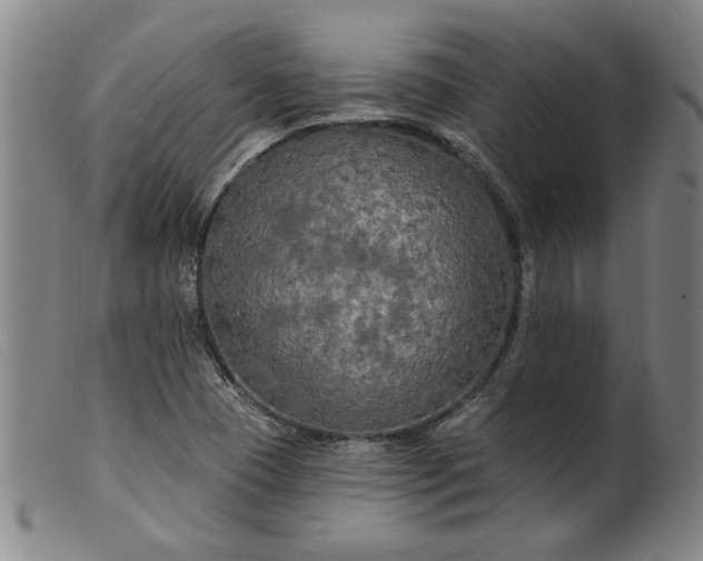 X0000099421409200805231618