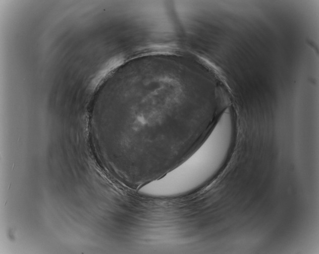 X0000099421411200805231618