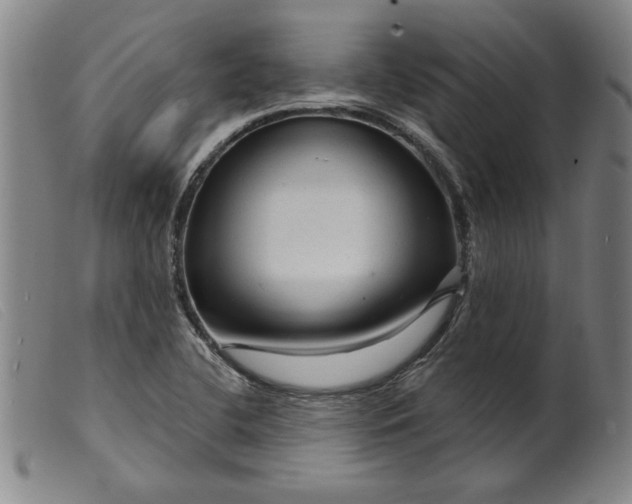 X0000099421412200805231618