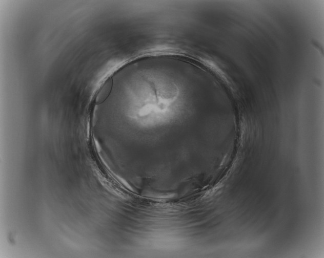 X0000099421413200805231618