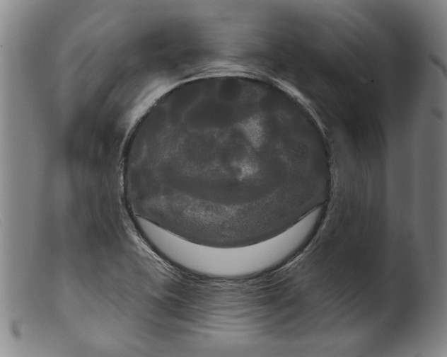 X0000099421415200805231618