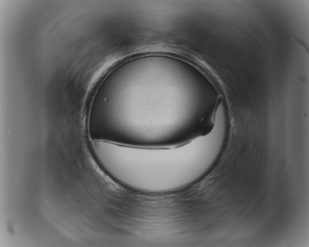 X0000099421416200805231618