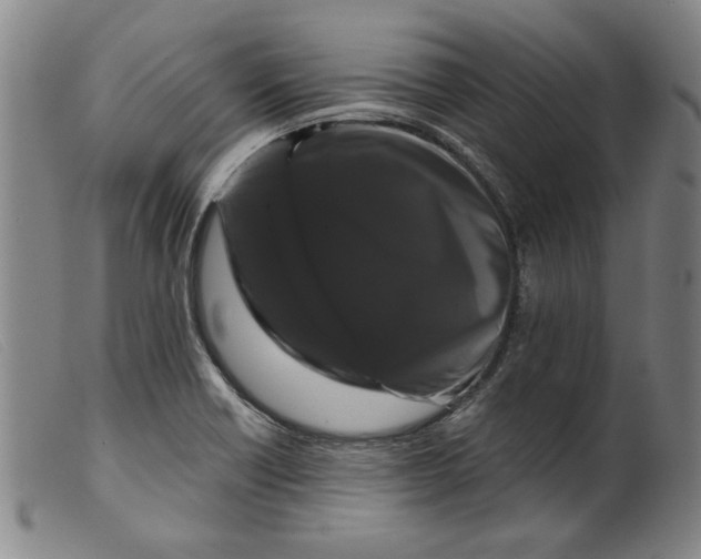 X0000099421418200805231618