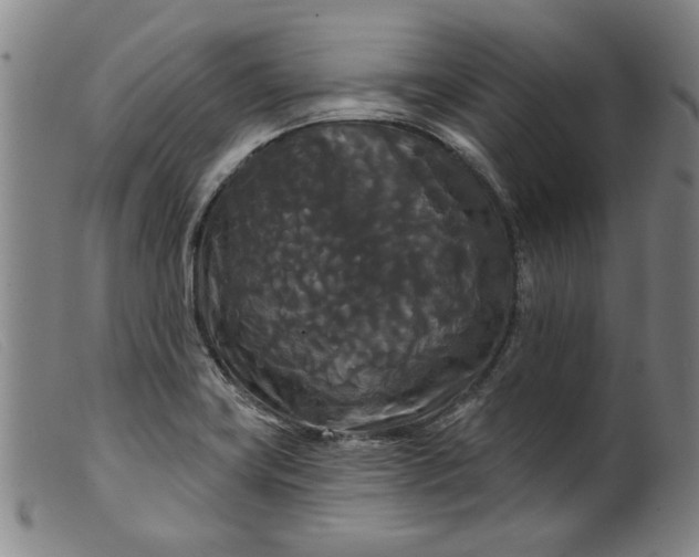 X0000099421419200805231618