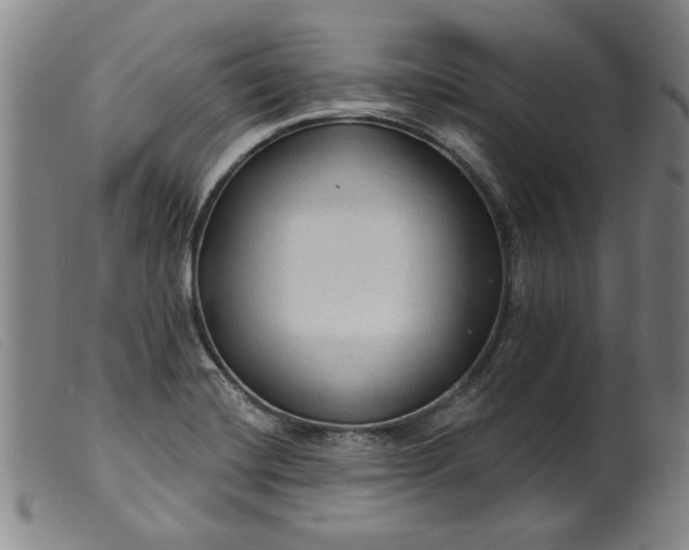 X0000099421420200805231618