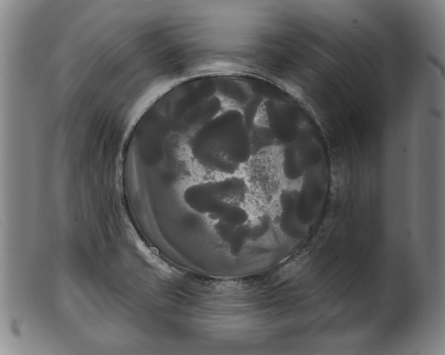 X0000099421421200805231618